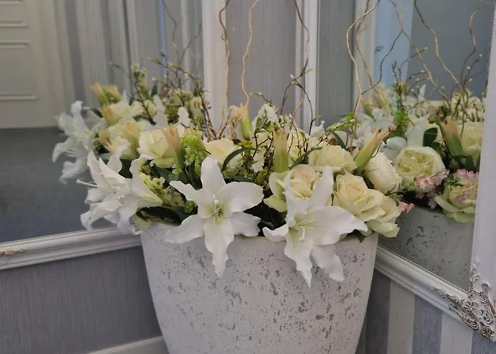 Efipa Glamour * Plzeň